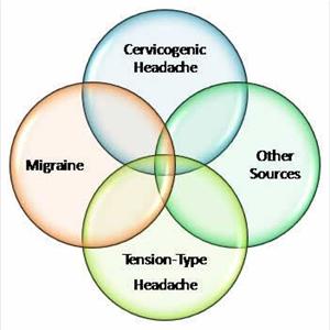Headache Rack - Stop Or Reduce Migraine Headaches With Butterbur Extract